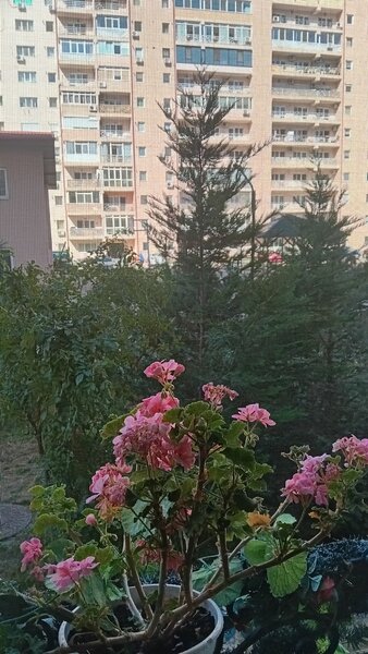 Splaiul Unirii 9, intre Sect.3 si Popesti Leordeni