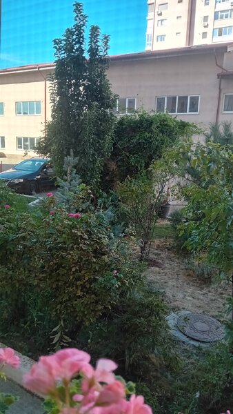 Splaiul Unirii 9, intre Sect.3 si Popesti Leordeni